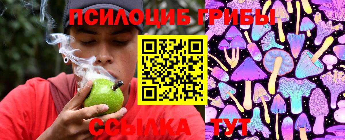 Псилоцибиновые грибы Psilocybe Богородицк