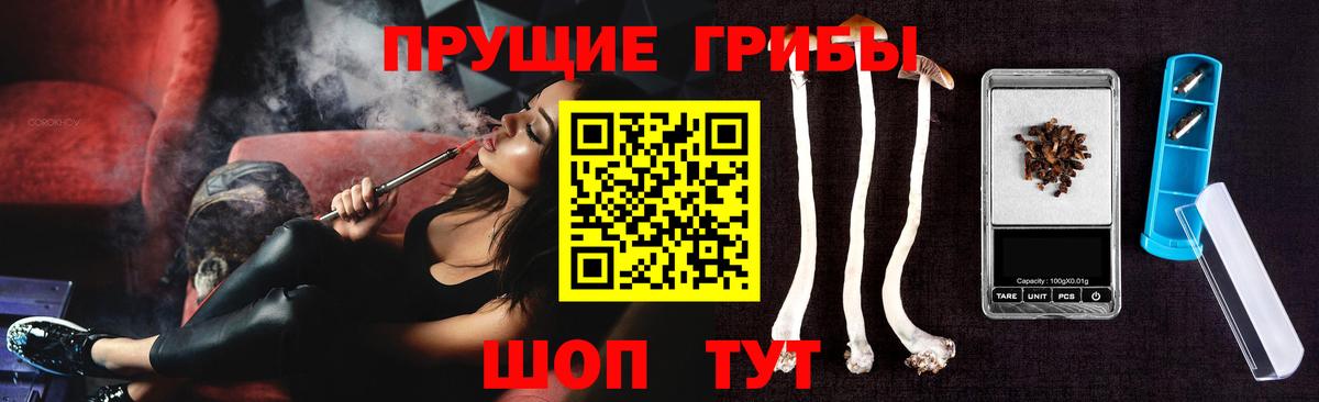 Псилоцибиновые грибы GOLDEN TEACHER  Галлюциногенные грибы Magic Shrooms  Богородицк  Вход с VPN 